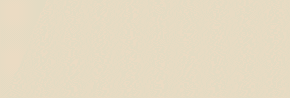 December Monthly Newsletter